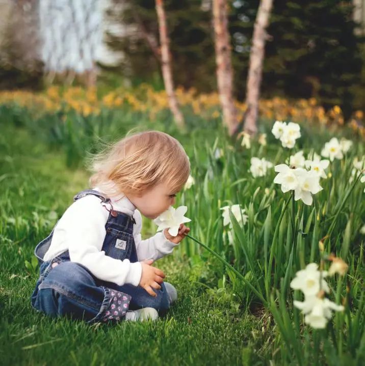 珠海室內(nèi)設計